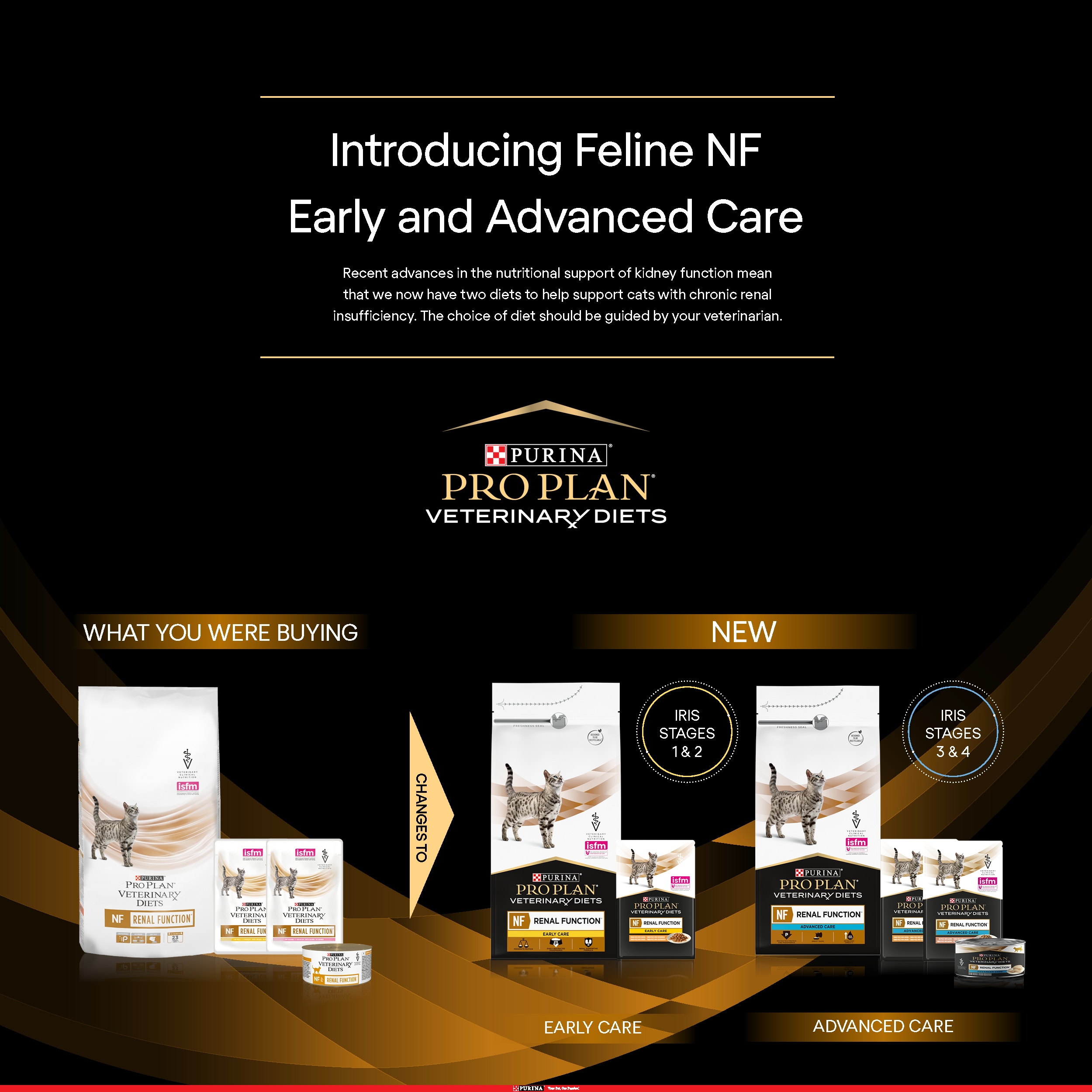 PPVD NF Renal Function Advanced Care Wet Cat Food Purina